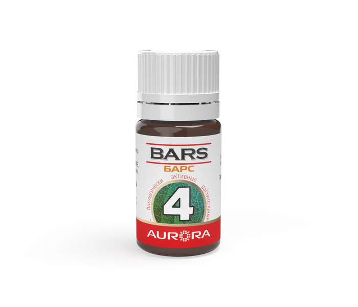 БАРС (BARS) -4